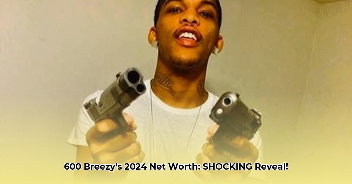 600-breezy-net-worth